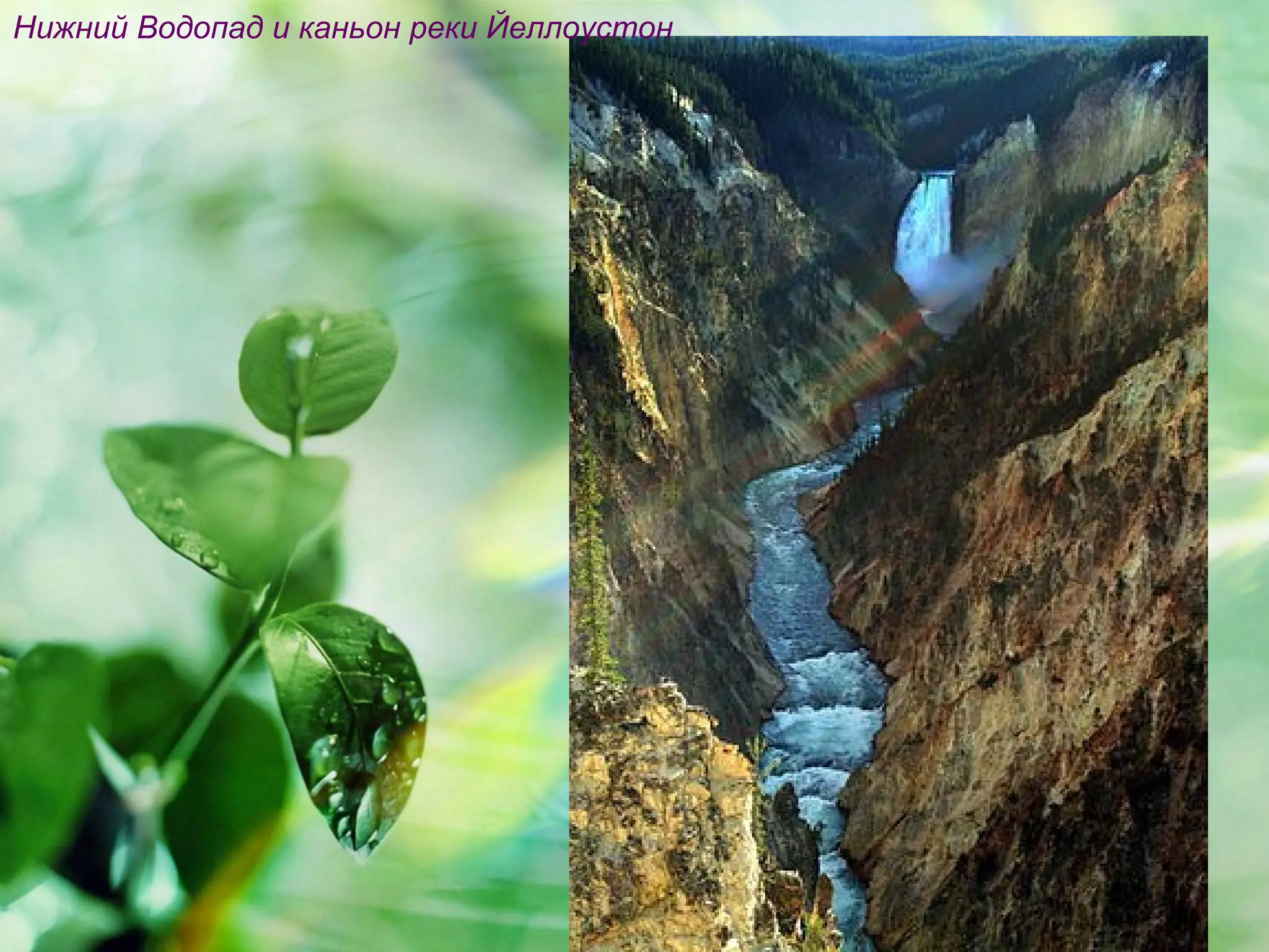 Нижний Водопад и каньон реки Йеллоустон
