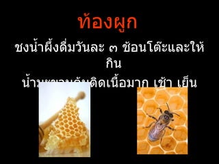 ท้องผูก
ชงนำำาผึำงดื่มวันละ ๓ ช้อนโต๊ะและให้
                   กิน
 นำำามะขามต้มติดเนืำอมาก เช้า เย็น
 