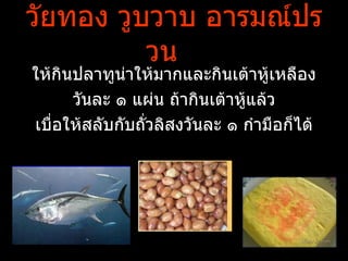 วัยทอง วูบวาบ อารมณ์ปร
          วน
ให้กินปลาทูน่าให้มากและกินเต้าหู้เหลือง
      วันละ ๑ แผ่น ถ้ากินเต้าหู้แล้ว
เบื่อให้สลับกับถัวลิสงวันละ ๑ กำามือก็ได้
                 ่
 