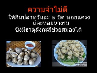 ความจำาไม่ดี
ให้กินปลาทูวันละ ๒ ขีด หอยแครง
         และหอยนางรม
  ซึงมีธาตุสังกะสีช่วยสมองได้
     ่
 