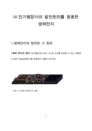 Ⅳ.전기뱀장어의 발전원리를 응용한
                        생체전지



1.생체전지의 정의와 그 원리


￮생체 전지의 정의 :전기뱀장어와 같이 스스로 전기를 생산할 수 있는 생명체

의 발전 방법(생체전기)을 응용하여 개발한 전지이다.




<그림 3-1 완성된 생체전지의 모델>




                         20
 