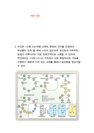 HO2-+ O2




3. 이것은 <그림 3-4>처럼 산화와 환원의 사이클 과정에서
 부산물이 오직 물 밖에 나오지 않으므로 포도당의 지속적인
 공급이 이루어지는 이상 반영구적으로 사용할 수 있으며
 무엇보다도 <그림 3-1>의 구조에서 서로 독립적으로 기능을
 수행하기 때문에 수리 또는 교체를 통해서 발전량을 향상시킬
 수 있다.




                    23
 