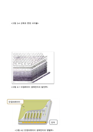 <그림 3-4 산화와 환원 사이클>




 <그림 4-1 다겹레이어 생체전지의 발전부>




단겹의레이어




                       24



                            전극



   <그림 4-2 단겹의레이어 생체전지의 병렬부>
 