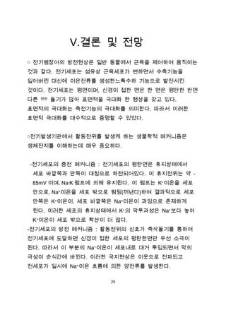 Ⅴ.결론 및 전망
￮ 전기뱀장어의 방전현상은 일반 동물에서 근육을 제어하여 움직이는
것과 같다. 전기세포는 섬유상 근육세포가 변하면서 수축기능을
잃어버린 대신에 이온전류를 생성한느특수하 기능으로 발전시킨
것이다. 전기세포는 평면이며, 신경이 접한 면은 한 면은 평탄한 반면
다른   면은   돌기가 많아 표면적을 극대화 한 형상을 갖고 있다.
표면적의 극대화는 축전기능의 극대화를 의미한다. 따라서 이러한
표면적 극대화를 대수적으로 증명할 수 있었다.


￮전기발생기관에서 활동전위를 발생케 하는 생물학적 메커니즘은
생체전지를 이해하는데 매우 중요하다.


-전기세포의 충전 메커니즘 : 전기세포의 평탄면은 휴지상태에서
 세포 바깥쪽과 안쪽이 대칭으로 하전되어있다. 이 휴지전위는 약 -
 85mV 이며, Na-K 펌프에 의해 유지된다. 이 펌프는 K+이온을 세포
 안으로, Na+이온을 세포 밖으로 펌핑(꺼낸다)하여 결과적으로 세포
 안쪽은 K+이온이, 세포 바깥쪽은 Na+이온이 과잉으로 존재하게
 된다. 이러한 세포의 휴지상태에서 K+의 막투과성은 Na+보다 높아
 K+이온이 세포 밖으로 확산이 더 많다.
-전기세포의 방전 메커니즘 : 활동전위의 신호가 축삭돌기를 통하여
전기세포에 도달하면 신경이 접한 세포의 평탄한면만 우선 소극이
된다. 따라서 이 부분의 Na+이온이 세포내로 대거 투입되면서 막의
극성이 순식간에 바뀐다. 이러한 국지현상은 이웃으로 전파되고
전세포가 일시에 Na+이온 흐름에 의한 양전류를 발생한다.

                       25
 
