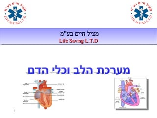 ‫מציל חיים בע"מ‬
    Life Saving L.T.D




1
 