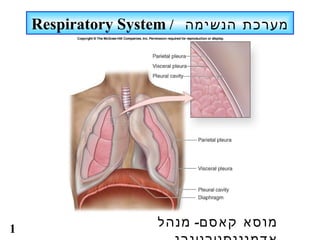 ‫מערכת הנשימה / ‪Respiratory System‬‬




‫1‬                   ‫מוסא קאסם- מנהל‬
 