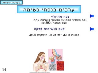 ‫מערכת הנשימה‬


               ‫ערכים בנפחי נשימה‬
                                 ‫נפח מתחלף‬
                  ‫נפח האוויר הממוצע הנשאף בנשימה אחת-‬
                        ‫אצל מבוגר - 005 ‪CC‬‬

                   ‫קצב הנשימות בדקה‬
                ‫מבוגר: 61-21, ילד: 02-61, תינוקות 03-02.‬




‫41‬
 