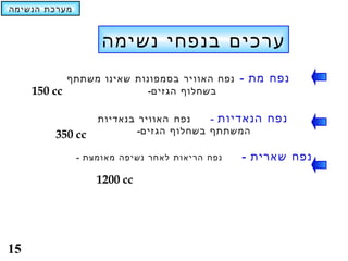 ‫מערכת הנשימה‬



                    ‫ערכים בנפחי נשימה‬
            ‫נפח מת - נפח האוויר בסמפונות שאינו משתתף‬
     ‫‪150 cc‬‬               ‫בשחלוף הגזים-‬

                   ‫נפח האוויר בנאדיות‬    ‫נפח הנאדיות -‬
         ‫‪350 cc‬‬            ‫המשתתף בשחלוף הגזים-‬

               ‫נפח הריאות לאחר נשיפה מאומצת -‬   ‫נפח שארית -‬
                   ‫‪1200 cc‬‬




‫51‬
 