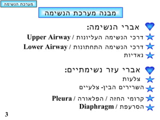 ‫מערכת הנשימה‬

               ‫מבנה מערכת הנשימה‬
                           ‫אברי הנשימה:‬
         ‫דרכי הנשימה העליונות / ‪Upper Airway‬‬
        ‫דרכי הנשימה התחתונות / ‪Lower Airway‬‬
                                      ‫נאדיות‬

                    ‫אברי עזר נשימתיים:‬
                                      ‫צלעות‬
                        ‫השרירים הבין- צלעיים‬
                ‫קרומי החזה / הפלאורה / ‪Pleura‬‬
                         ‫הסרעפת / ‪Diaphragm‬‬
‫3‬
 