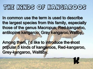 The kinds of Kangaroos

In common use the term is used to describe
the largest species from this family, especially
those of the genus Macropus, Red-kangaroo,
antilopine kangaroo, Gray kangaroo,Wallby.

Among them, I’d like to introduce the most
popular 3 kinds of kangaroos, Red-kangaroo,
Grey-kangaroo, Wallaby.

                                        k
 