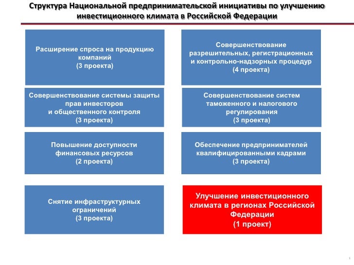Проект национальная предпринимательская инициатива