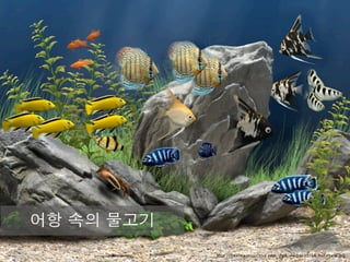 어항 속의 물고기
            http://freeimagesarchive.com/data/media/25/16_ﬁsh+tank.jpg
 