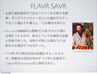FLAVR SAVR
  •   主要な細胞壁成分であるペクチンを分解する酵
      素、ポリガラクツロナーゼ(PG)の遺伝子のアン
      チセンス遺伝子を導入し、PGの働きを抑えた

  •   Flavr Savrは機械的な損傷(打ち身)やカビの害に
      は強かったものの、軟化については通常の品種
      と同様であった。当時の予想とは異なりPGは
      軟化の主要因子ではなかった。
                                     http://en.wikipedia.org/wiki/Flavr_Savr
  •   1994年5月の発売当初は話題をさらったもの
      の、商業的な成功は収めず1997年に生産終了。
      Calgene社もMonsanto社に買収された。


12年4月22日日曜日
 