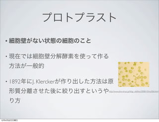 プロトプラスト
  • 細胞壁がない状態の細胞のこと


  • 現在では細胞壁分解酵素を使って作る

     方法が一般的

  • 1892年にJ. Klerckerが作り出した方法は原

     形質分離させた後に絞り出すというや       http://www.sho-oh.ac.jp/blog_old/bio/2008/10/no306.html



     り方


12年4月22日日曜日
 
