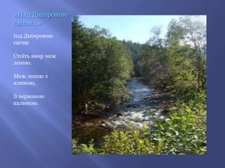 «Над Дніпровою
сагою…»
Над Дніпровою
сагою

Стоїть явор меж
лозою.

Меж лозою з
ялиною,

З червоною
калиною.
 