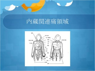 内蔵関連痛領域
 
