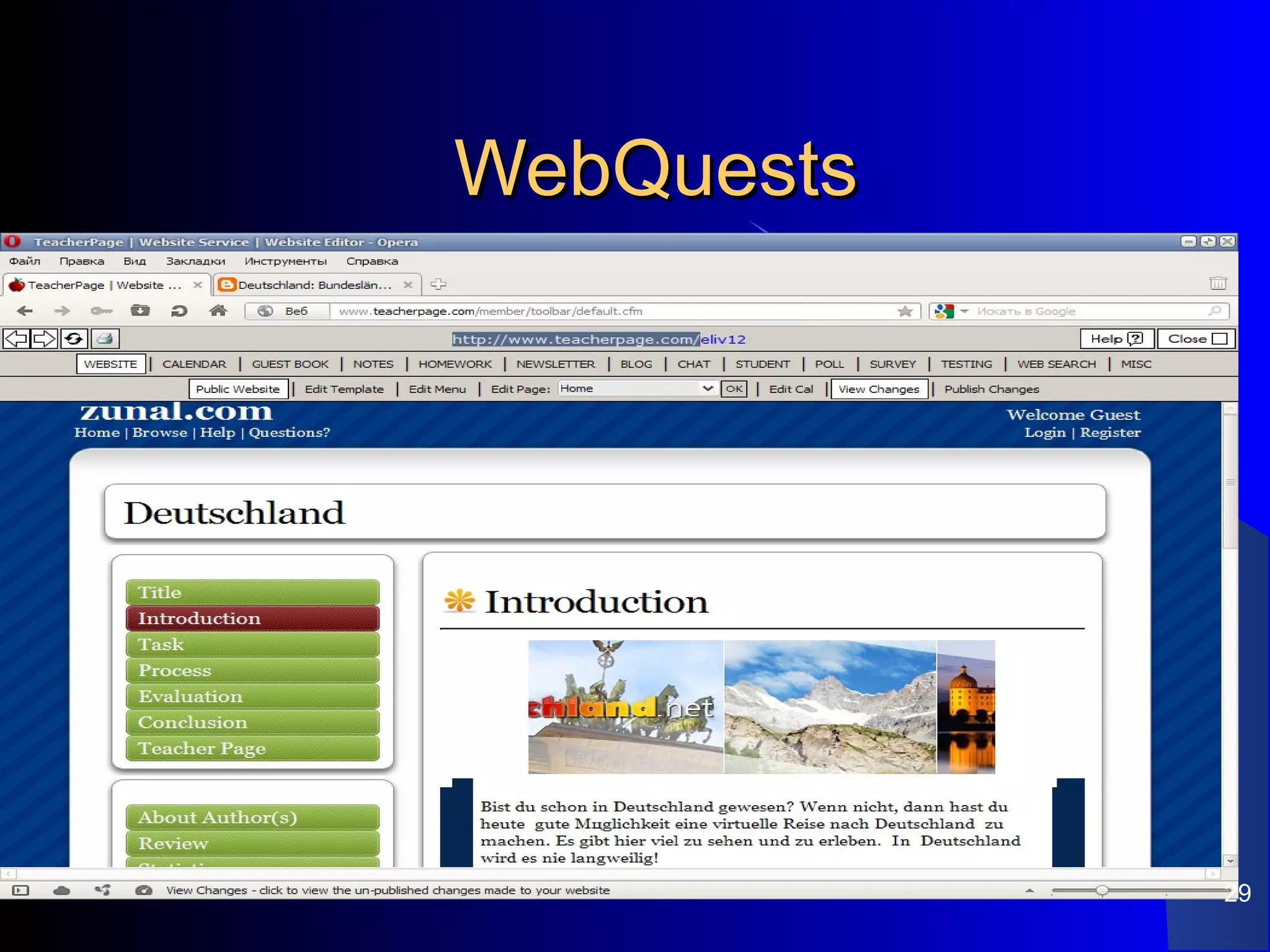 WebQuests




            29
 