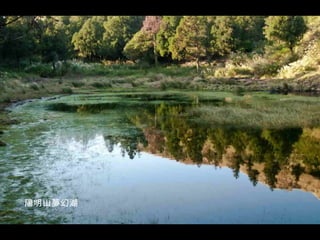 陽明山夢幻湖
 