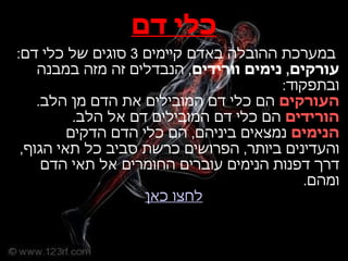 הובלה ליברמן | PPT