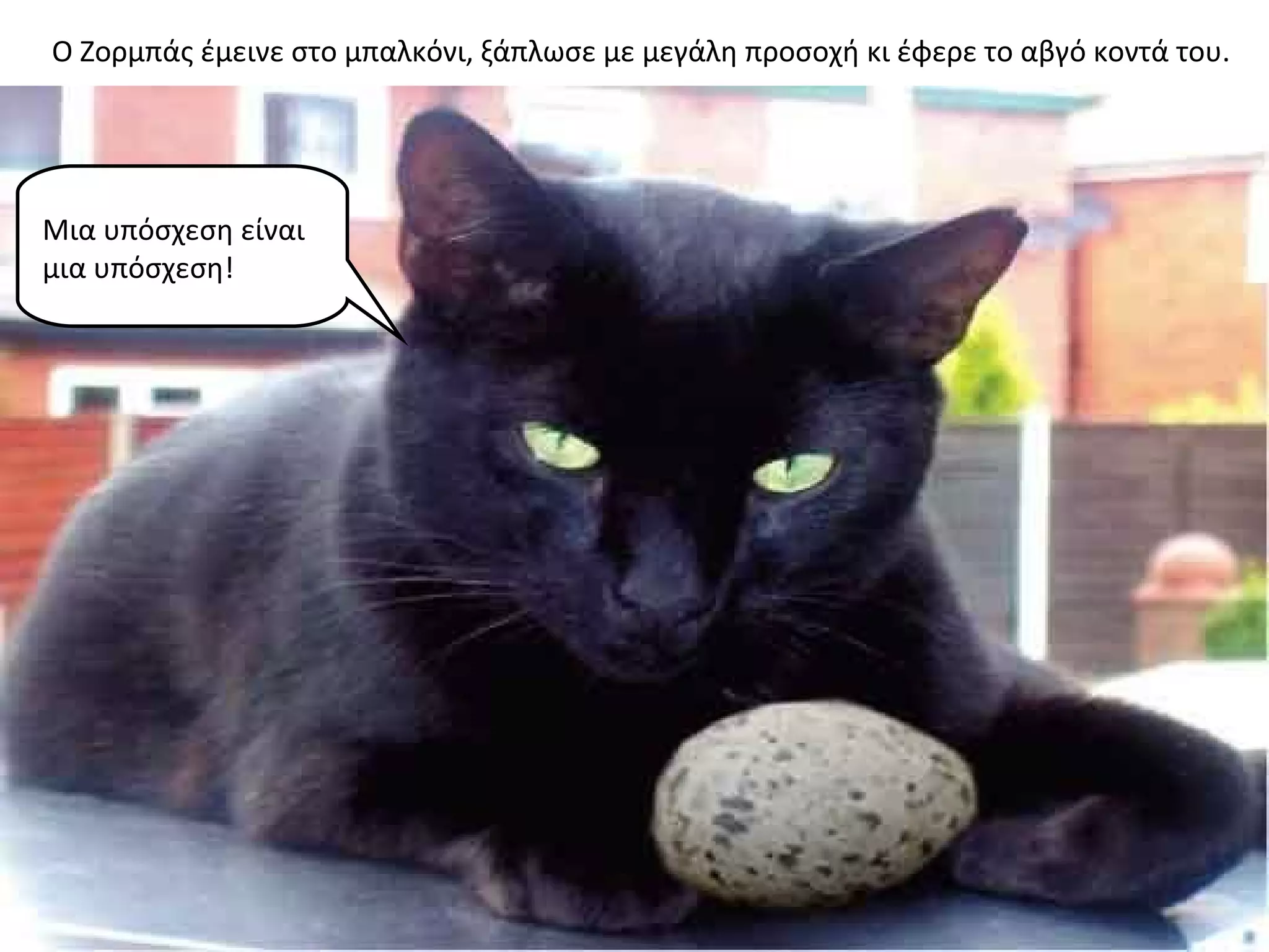 Ο Ζορμπάς έμεινε στο μπαλκόνι, ξάπλωσε με μεγάλη προσοχή κι έφερε το αβγό κοντά του.




Μια υπόσχεση είναι
μια υπόσχεση!
 