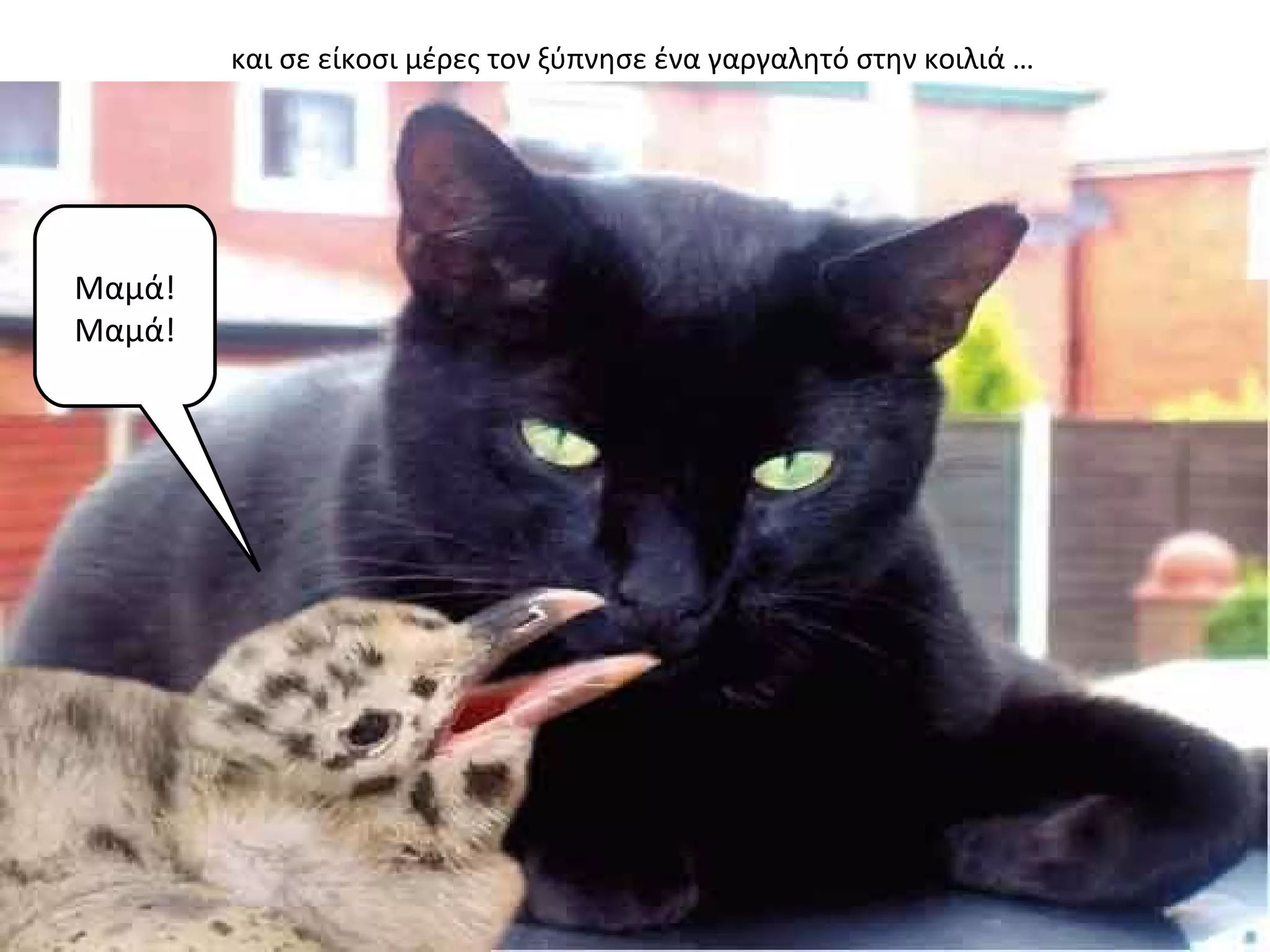 και σε είκοσι μέρες τον ξύπνησε ένα γαργαλητό στην κοιλιά …




Μαμά!
Μαμά!
 