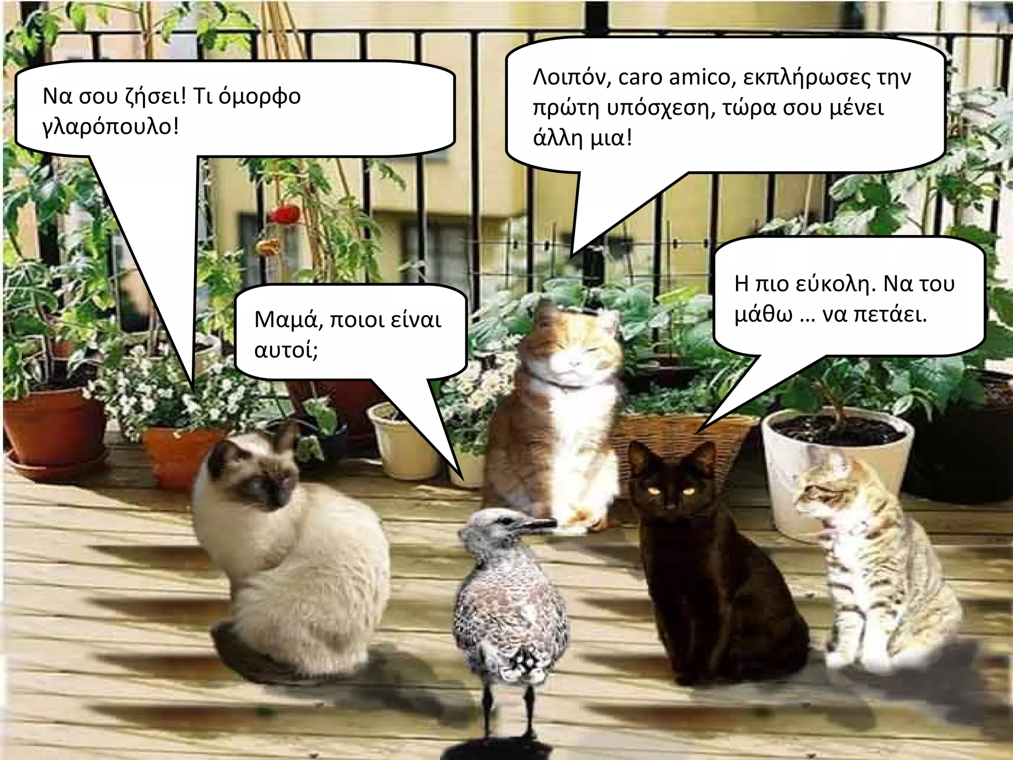 Λοιπόν, caro amico, εκπλήρωσες την
Να σου ζήσει! Τι όμορφο               πρώτη υπόσχεση, τώρα σου μένει
γλαρόπουλο!                           άλλη μια!




                                                        Η πιο εύκολη. Να του
                  Μαμά, ποιοι είναι                     μάθω … να πετάει.
                  αυτοί;
 
