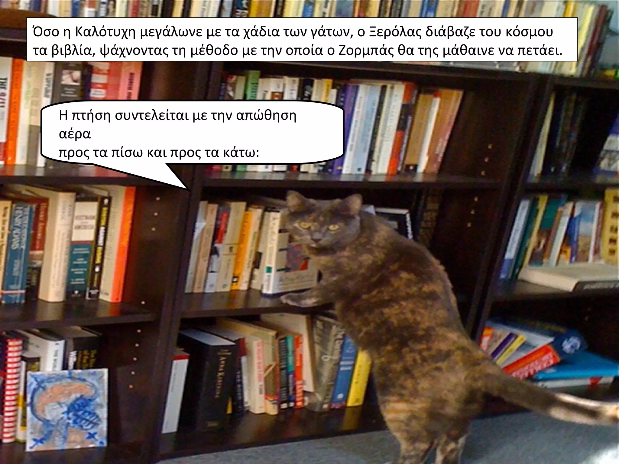 Όσο η Καλότυχη μεγάλωνε με τα χάδια των γάτων, ο Ξερόλας διάβαζε του κόσμου
τα βιβλία, ψάχνοντας τη μέθοδο με την οποία ο Ζορμπάς θα της μάθαινε να πετάει.



   Η πτήση συντελείται με την απώθηση
   αέρα
   προς τα πίσω και προς τα κάτω:
 