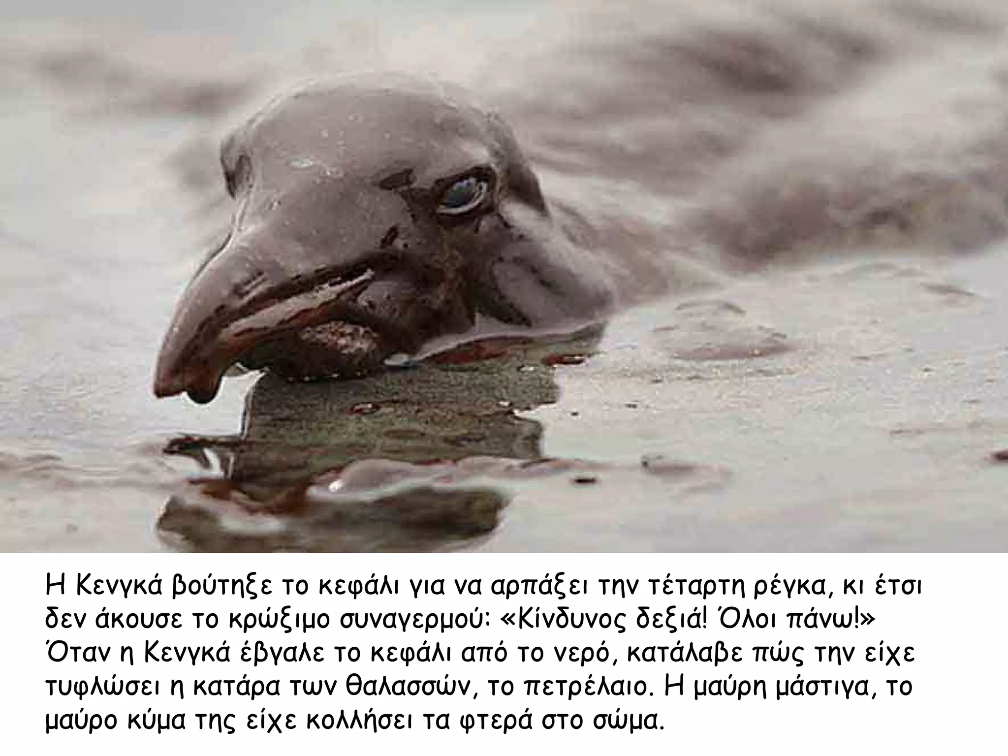 Η Κενγκά βούτηξε το κεφάλι για να αρπάξει την τέταρτη ρέγκα, κι έτσι
δεν άκουσε το κρώξιμο συναγερμού: «Κίνδυνος δεξιά! Όλοι πάνω!»
Όταν η Κενγκά έβγαλε το κεφάλι από το νερό, κατάλαβε πώς την είχε
τυφλώσει η κατάρα των θαλασσών, το πετρέλαιο. Η μαύρη μάστιγα, το
μαύρο κύμα της είχε κολλήσει τα φτερά στο σώμα.
 