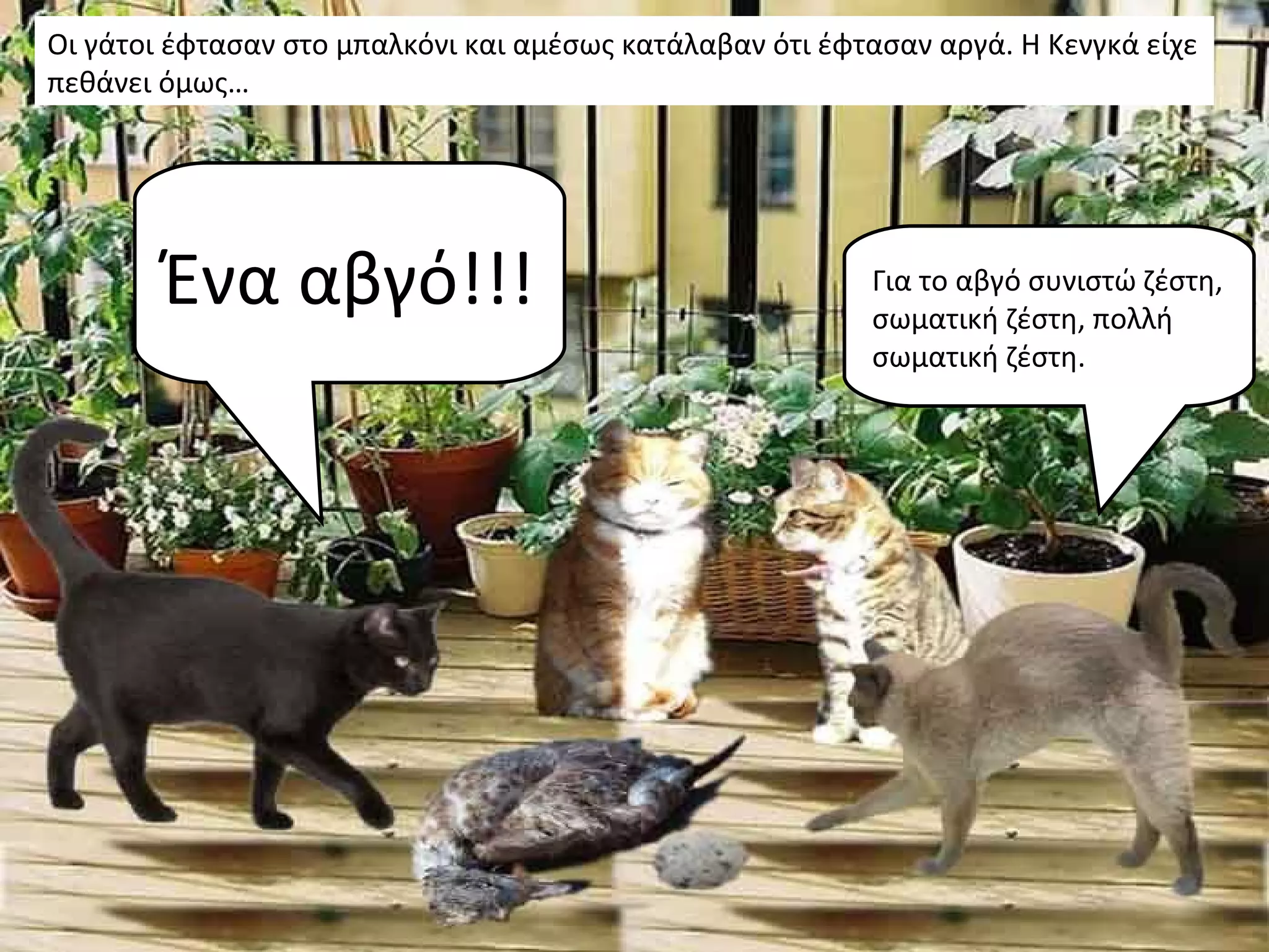 Οι γάτοι έφτασαν στο μπαλκόνι και αμέσως κατάλαβαν ότι έφτασαν αργά. Η Κενγκά είχε
πεθάνει όμως…




        Ένα αβγό!!!                                       Για το αβγό συνιστώ ζέστη,
                                                          σωματική ζέστη, πολλή
                                                          σωματική ζέστη.
 