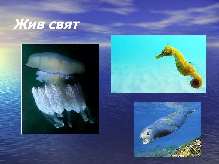черно море