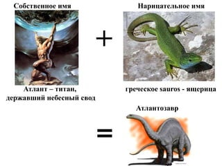 Собственное имя                 Нарицательное имя




                          +
    Атлант – титан,           греческое sauros - ящерица
державший небесный свод
                                 Атлантозавр



                          =
 