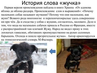 История слова «жучка»
   Первая версия происхождения найдена в книге Храппа «От адамова
яблока до яблока раздора. Происхождение слов и выражений»: «Почему
маленьких собак называют жучками? Потому что они маленькие, как
жуки? Всякого рода многоногие и перепончатокрылые здесь совершенно
ни при чѐм. Да и сходства у собак с жуками, согласитесь, маловато. Дело в
том, что мода на маленьких собачек пришла в Россию из Франции, вместе
с распространѐнной там кличкой Жужу. Народ не видел проку в этих
лохматых гавкалках, обитавших преимущественно на руках салонных
барышень. Отсюда и пошло презрительное жучка». Автор ориентируется
на этимологический словарь М.Фасмера.
 