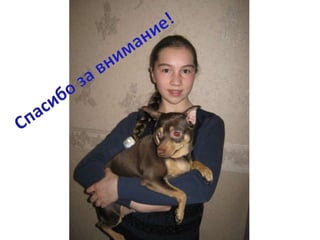 полина бушмакина презентация