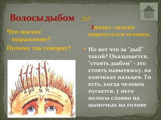 Значит, сильно
Что значит             перепугался человек.
 выражение?
Почему так говорят?    Но вот что за "дыб"
                       такой? Оказывается,
                       "стоять дыбом" - это
                       стоять навытяжку, на
                       кончиках пальцев. То
                       есть, когда человек
                       пугается, у него
                       волосы словно на
                       цыпочках на голове
 