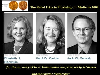 The Nobel Prize in Physiology or Medicine 2009




"for   the discovery of how chromosomes are protected by telomeres

                    and the enzyme telomerase"
 