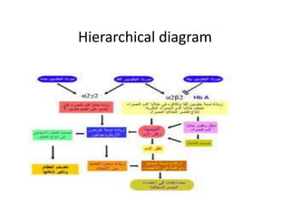 Hierarchical diagram
 
