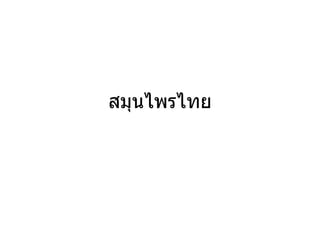 สมุนไพรไทย
 