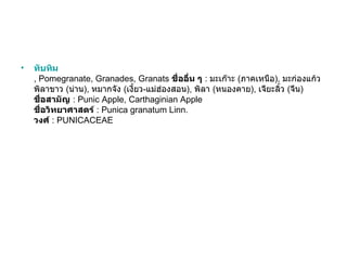 •   ทับทิม
    , Pomegranate, Granades, Granats ชื่ออื่น ๆ : มะเก๊าะ (ภาคเหนือ), มะก่องแก้ว
    พิลาขาว (น่าน), หมากจัง (เงี้ยว-แม่ฮ่องสอน), พิลา (หนองคาย), เจียะลิว (จีน)
                                                                        ้
    ชื่อสามัญ : Punic Apple, Carthaginian Apple
    ชื่อวิทยาศาสตร์ : Punica granatum Linn.
    วงศ์ : PUNICACEAE
 