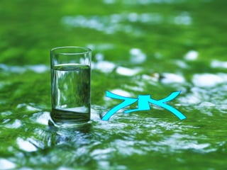 健康分享 每天的第一杯 水