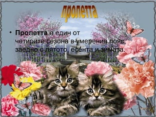 • Пролетта е един от
  четирите сезона в умерения пояс,
  заедно с лятото, есента и зимата.
 