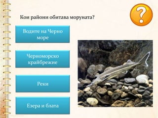 животински свят | PPT