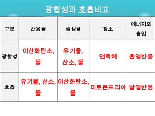 에너지의
구분      반응물    생성물        장소
                                출입


      이산화탄소,   유기물,
광합성                      엽록체   흡열반응
         물     산소, 물


      유기물, 산소, 이산화탄소,
호흡                      미토콘드리아 발열반응
         물      물
 