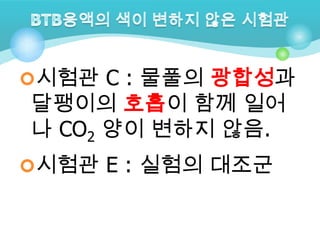 시험관 C : 물풀의 광합성과
달팽이의 호흡이 함께 일어
나 CO2 양이 변하지 않음.
시험관 E : 실험의 대조군
 