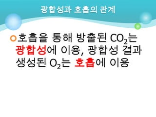 호흡을 통해 방출된 CO2는
광합성에 이용, 광합성 결과
생성된 O2는 호흡에 이용
 