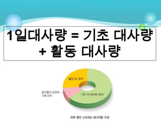 1일대사량 = 기초 대사량
   + 활동 대사량
 