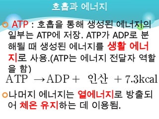  ATP : 호흡을 통해 생성된 에너지의
일부는 ATP에 저장. ATP가 ADP로 분
해될 때 생성된 에너지를 생활 에너
지로 사용.(ATP는 에너지 전달자 역할
을 함)

나머지 에너지는 열에너지로 방출되
어 체온 유지하는 데 이용됨.
 