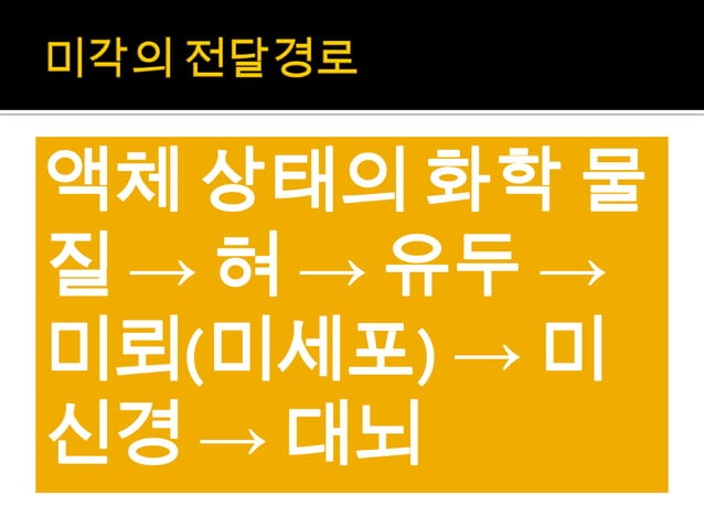 감각기관(후각, 미각, 촉각) | PPTX