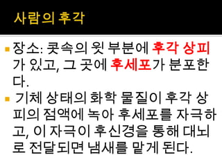 감각기관(후각, 미각, 촉각) | PPTX