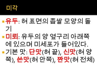 감각기관(후각, 미각, 촉각) | PPTX