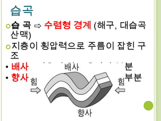 습곡
습  곡 ⇨ 수렴형 경계 (해구, 대습곡
  산맥)
지층이 횡압력으로 주름이 잡힌 구
  조
• 배사 : 지층이 위로 올라간 부분
• 향사 : 지층이 아래로 내려간 부분
 